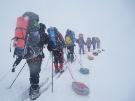 Сани-волокуши Гермо 65 л