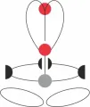 Привязь страховочная GT FIXE S-L, CAMP